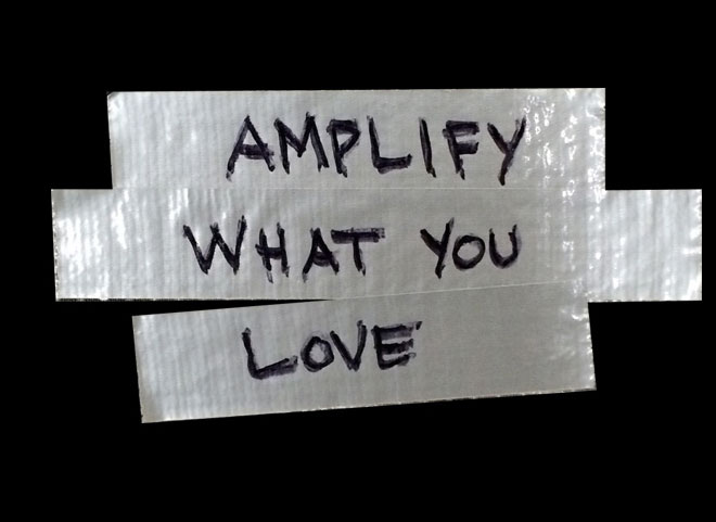 Amplify What You Love Website