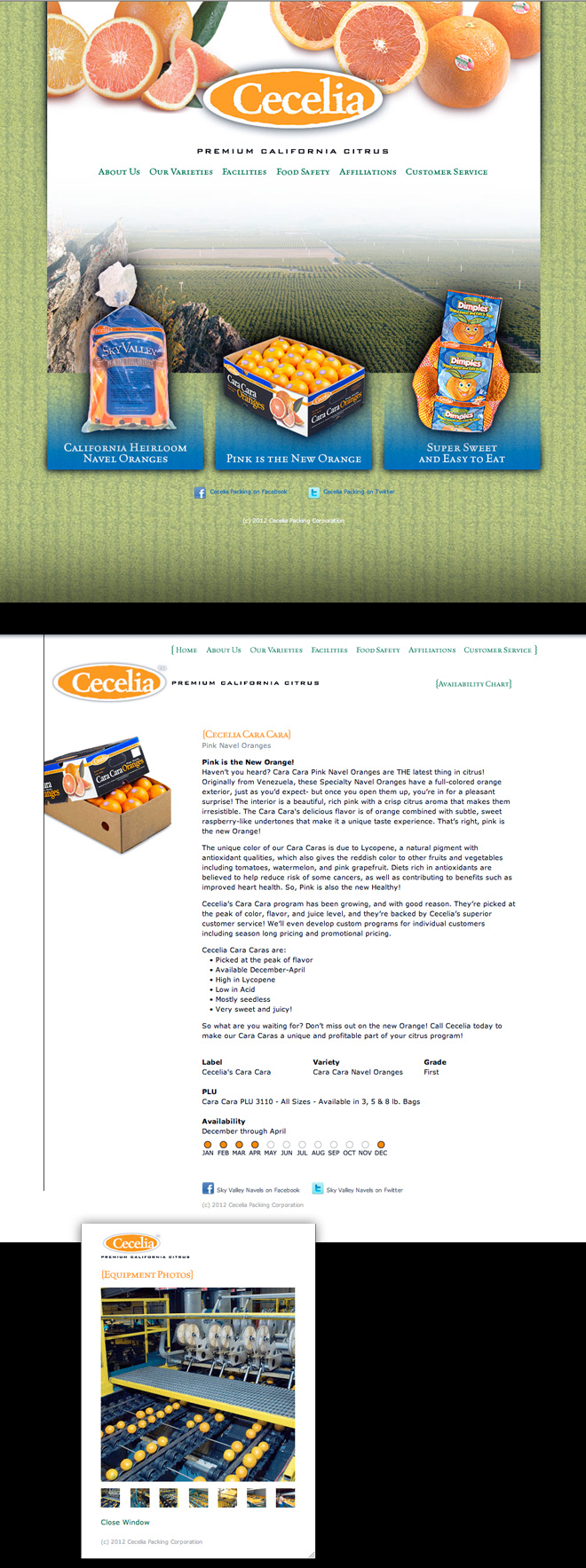 Cecelia Packing Website