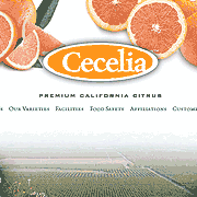 Cecelia Website